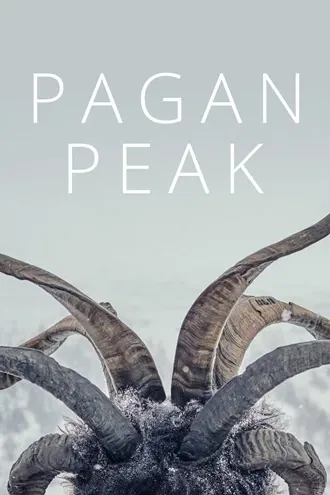 Download Der Pass | 2022 | Season 1 | Hindi | Netflix Original WEB Series | 480p 720p 1080p | MoviesRock
